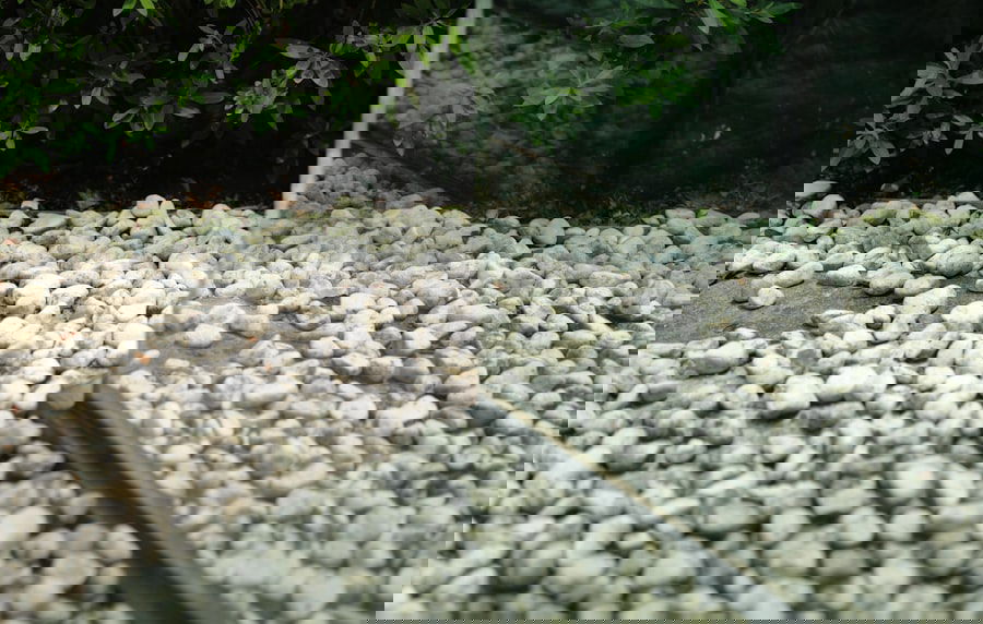 Photo Before and after