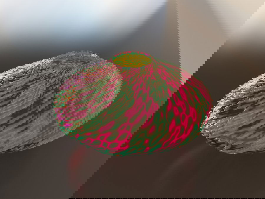 Photo 3D Cone Beam Scan