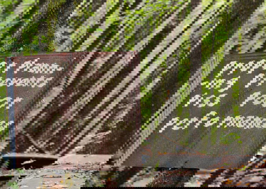 Photo ClearCorrect benefits