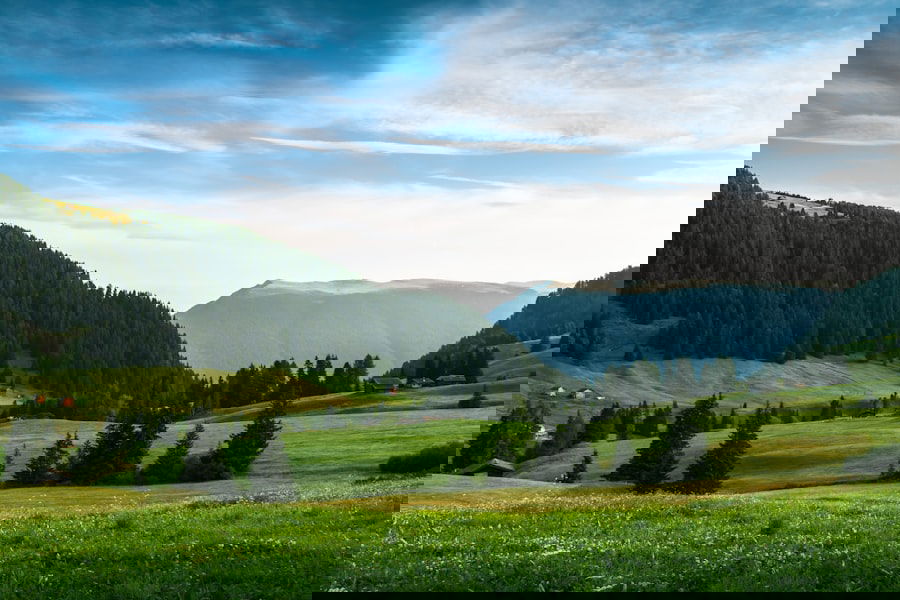 Photo Invisalign alternatives