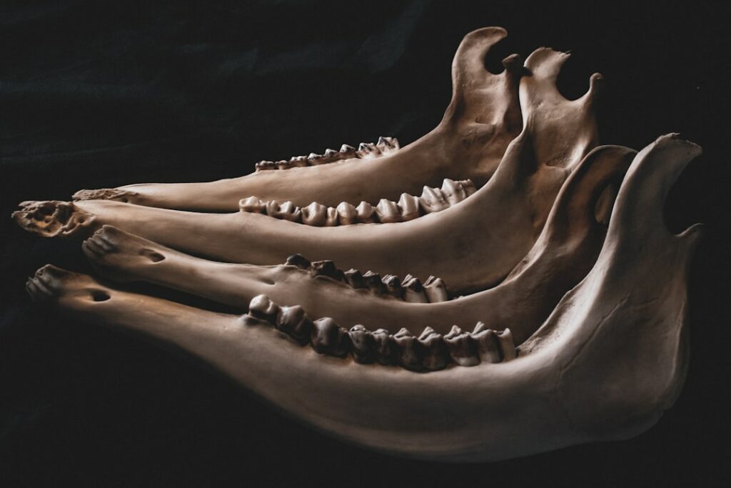 Photo Dentures