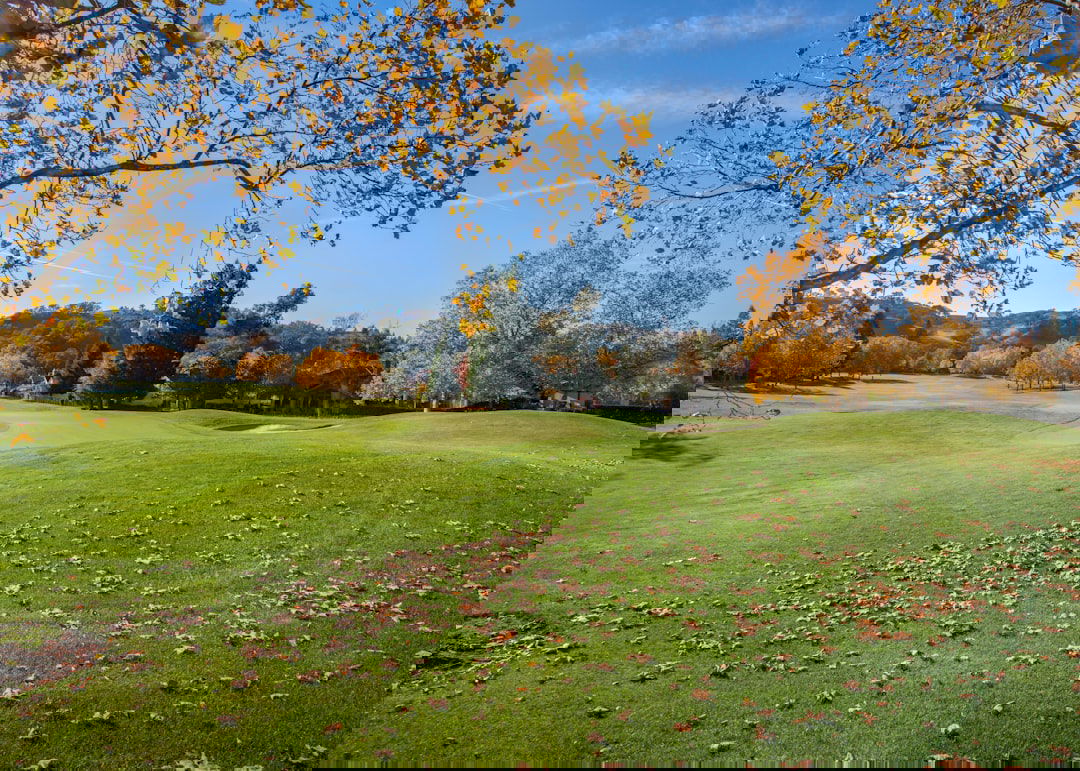 Photo Invisalign for Kids