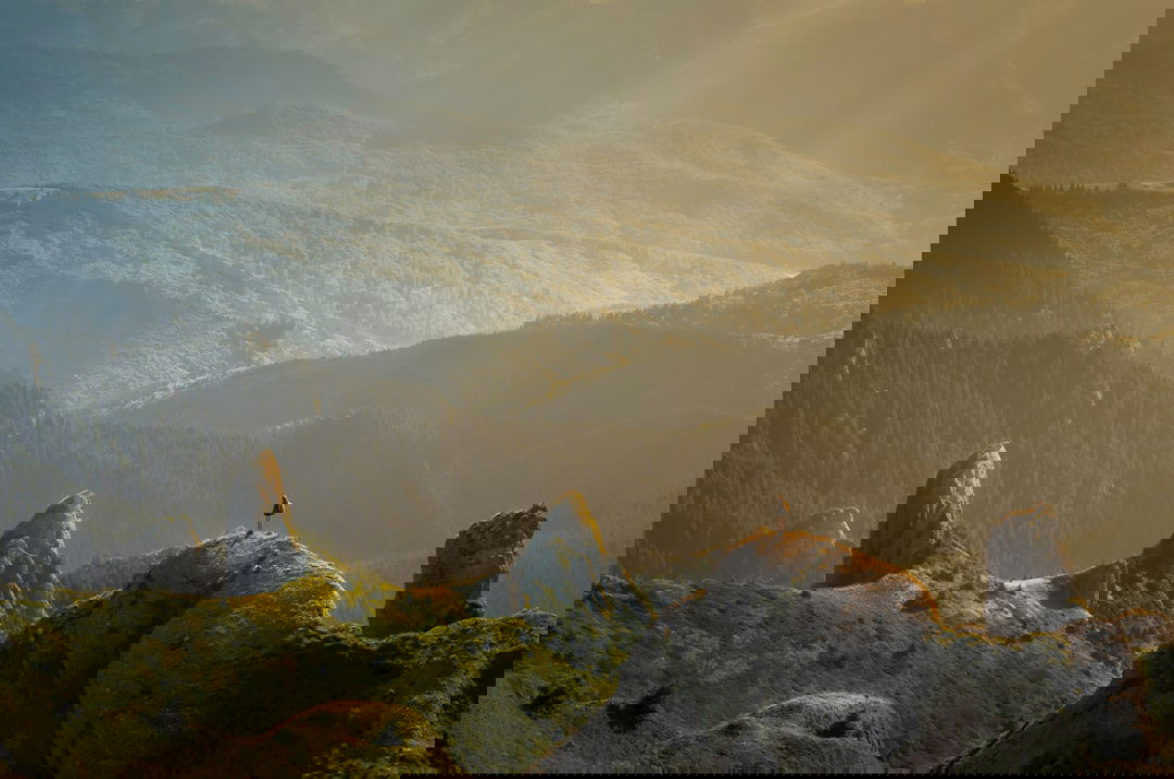 Photo Invisalign provider for Kids